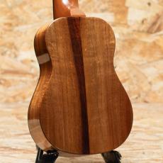 FUJIGEN FUS-TS-02 Soprano_2