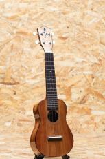 FUJIGEN FUS-TS-02 Soprano_3