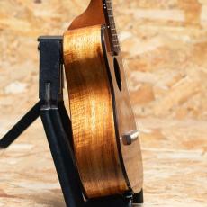 FUJIGEN FUS-TS-02 Soprano_4