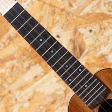 FUJIGEN FUS-TS-02 Soprano_6