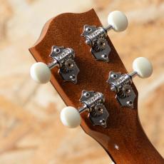 FUJIGEN FUS-TS-02 Soprano_9