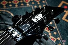 ESP FR-550CTM Custom Order FOREST-G type_3