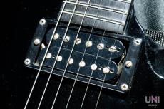 ESP FR-550CTM Custom Order FOREST-G type_4