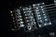 ESP FR-550CTM Custom Order FOREST-G type_5