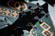 ESP FR-550CTM Custom Order FOREST-G type_6