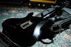 ESP FR-550CTM Custom Order FOREST-G type_7