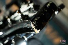 ESP FR-550CTM Custom Order FOREST-G type_8