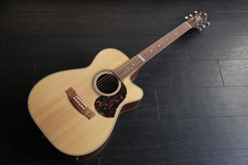 Maton EBG808CTE  Tommy Emmanuel Signature 委託品　期間限定価格
