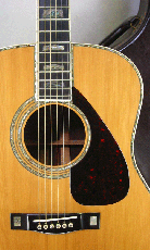 YAMAHA L-53 Custom / Solid Abalone Trim & Head Inlay・Solid Ezo Spruce Top・Solid Jacaranda Side and Back・Terry Nakamoto Label Sign 【With Original Custom Hard Case】1981年製_2