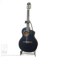 aNueNue aNN-LN77E (Nylon Strings)_2