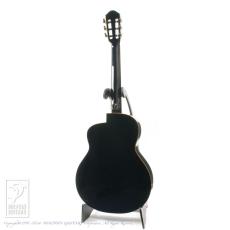 aNueNue aNN-LN77E (Nylon Strings)_4