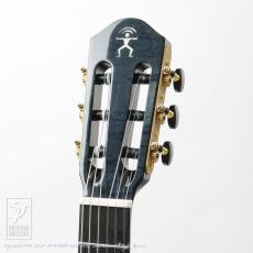 aNueNue aNN-LN77E (Nylon Strings)_6