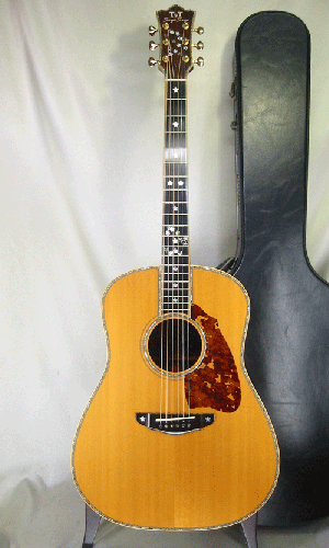 Terry's Terry TJ-100 Special Custom /　Abalone Trim Top and Side and Back / Premium grade Solid Spruce Top・Premium　grade Solid Honduras Rosewood Side and Back 【With Original Hard Case】 2005年製