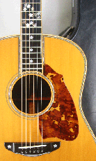 Terry's Terry TJ-100 Special Custom /　Abalone Trim Top and Side and Back / Premium grade Solid Spruce Top・Premium　grade Solid Honduras Rosewood Side and Back 【With Original Hard Case】 2005年製_2