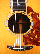 Terry's Terry TJ-100 Special Custom /　Abalone Trim Top and Side and Back / Premium grade Solid Spruce Top・Premium　grade Solid Honduras Rosewood Side and Back 【With Original Hard Case】 2005年製_7