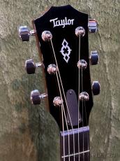 Taylor 【New Model!!】514ce Next Generation #1212095037【Claria™搭載】【48回迄金利0%対象】【送料当社負担】_4