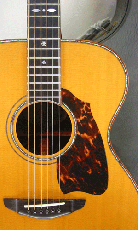 Terry's Casual TC-PS7 Limited / Paul Simon Shape・Abalone Trim・Solid Spruce Top・Solid Rosewood Side and Back・With L.R.Baggs iBEAM Active System【With Original Hard Case】2013年製_2