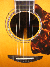 Terry's Casual TC-PS7 Limited / Paul Simon Shape・Abalone Trim・Solid Spruce Top・Solid Rosewood Side and Back・With L.R.Baggs iBEAM Active System【With Original Hard Case】2013年製_7
