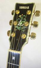YAMAHA LL-55 Custom /　Flagship Model・Abalone Trim・Solid Premium Grade Ezo Spruce Top・Solid Premium Grade Jacaranda Side and Back・Terry Nakamoto Sign 【With Original  Hard Case】　1984年製_3