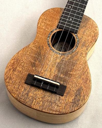 DCT 【チョイ傷特価!】 KOKOMO-5 【ソプラノ】【マンゴーボディ&オール単板】