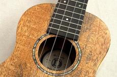 DCT 【チョイ傷特価!】 KOKOMO-5 【ソプラノ】【マンゴーボディ&オール単板】_3