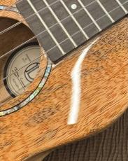 DCT 【チョイ傷特価!】 KOKOMO-5 【ソプラノ】【マンゴーボディ&オール単板】_16