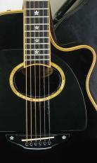 Terry's Terry TMX-100 Special Custom / Serial NO.1 Replica・Single Side Peg Head・SAKURA Inlay・ W-Pick Guard・Solid Spruce Top・Solid Mahogany Side and Back 【With Original Hard Case】 1992年製_2