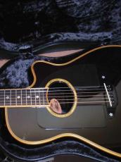 Terry's Terry TMX-100 Special Custom / Serial NO.1 Replica・Single Side Peg Head・SAKURA Inlay・ W-Pick Guard・Solid Spruce Top・Solid Mahogany Side and Back 【With Original Hard Case】 1992年製_8