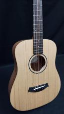 Taylor Baby Taylor BT1_2