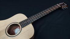 Taylor Baby Taylor BT1_7