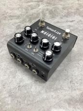 strymon IRIDIUM amp & ir cab_4