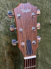 Taylor 114ce LTD Black Top C-Class Bracing #2212095392【48回迄金利0%対象】【送料当社負担】_4