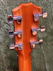 Taylor 114ce LTD Black Top C-Class Bracing #2212095392【48回迄金利0%対象】【送料当社負担】_5