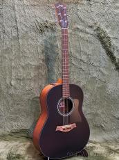 Taylor 117e LTD Black Top C-Class Bracing #2212045517【48回迄金利0%対象】【送料当社負担】_2