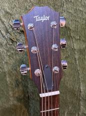 Taylor 117e LTD Black Top C-Class Bracing #2212045517【48回迄金利0%対象】【送料当社負担】_4