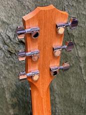 Taylor 117e LTD Black Top C-Class Bracing #2212045517【48回迄金利0%対象】【送料当社負担】_5