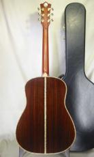 Terry's Terry TJ-100 Special Custom /　Abalone Trim Top and Side and Back・Star and Cresent Moon Inlay・Premium Solid Spruce Top・Premium　Solid Rosewood Side and Back 【With Original Case】 2010年製_4