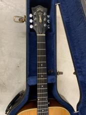 Guild D-44NT 1974年製 希少なペアウッド サイド/バック!_4