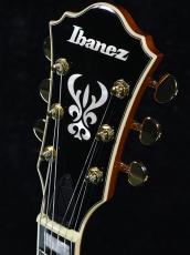 Ibanez 【スポット生産!!】AG95MG-DA(Dark Amber)《2.9kg》【オンラインストア限定】【ローン金利0%】_7
