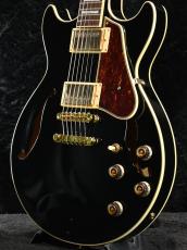 Ibanez 【スポット生産!!】AM73G-BK (Black)《3.15kg》【オンラインストア限定】【ローン金利0%】_6