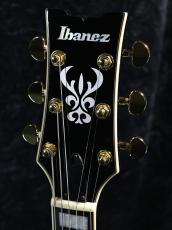 Ibanez 【スポット生産!!】AM73G-BK (Black)《3.15kg》【オンラインストア限定】【ローン金利0%】_7