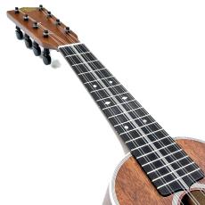 KIWAYA LC-TPmv 3Mcst 8弦コンサート タロパッチ【ローン金利0%】【オンラインストア限定】_10