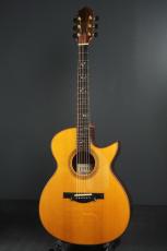 Ervin Somogyi OM Cutaway