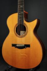 Ervin Somogyi OM Cutaway_2