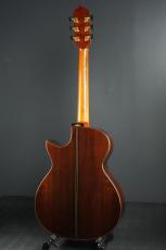 Ervin Somogyi OM Cutaway_4