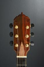 Ervin Somogyi OM Cutaway_6