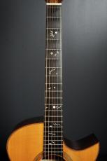 Ervin Somogyi OM Cutaway_7