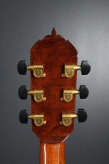 Ervin Somogyi OM Cutaway_8