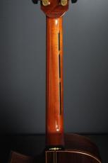 Ervin Somogyi OM Cutaway_9