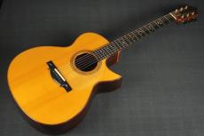 Ervin Somogyi OM Cutaway_10